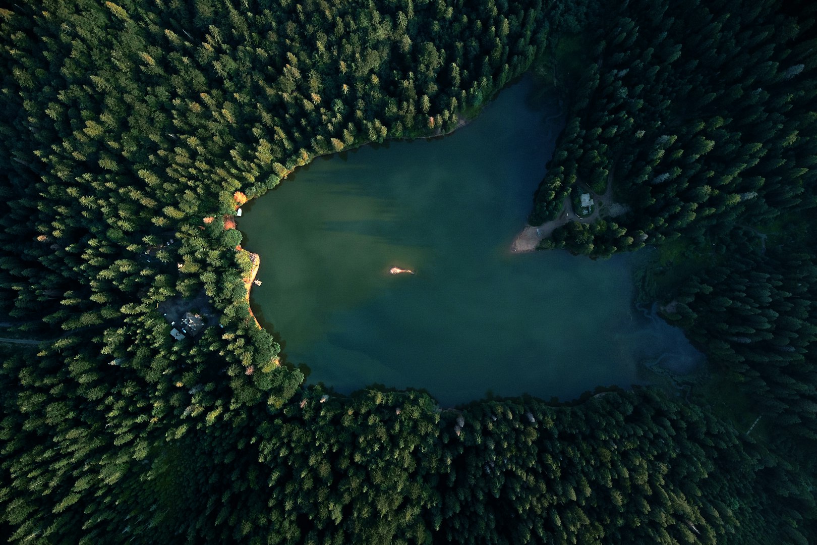 an aerial view of a lake surrounded by trees